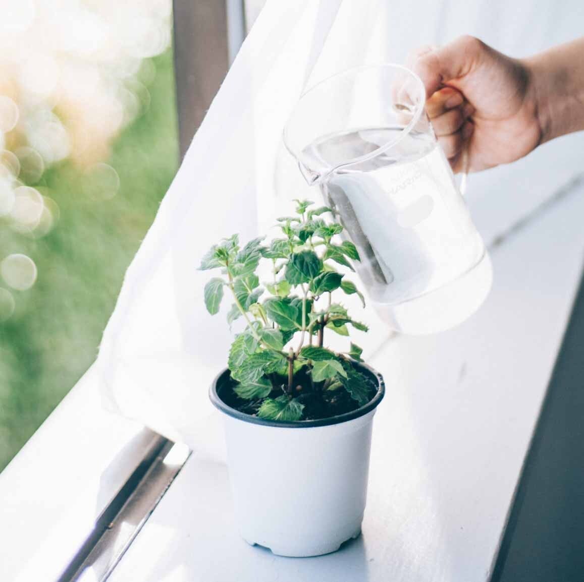 HARIO H-32 ライフスタイル・ラボ 取って付きトールビーカー 500ml TBE-500-H32 ハリオ